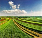 Внимание руководителей сельскохозяйственных организаций, глав крестьянских (фермерских) хозяйств